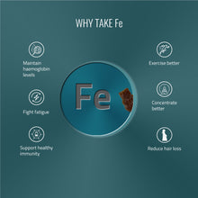 Load image into Gallery viewer, Fe - Allbeing